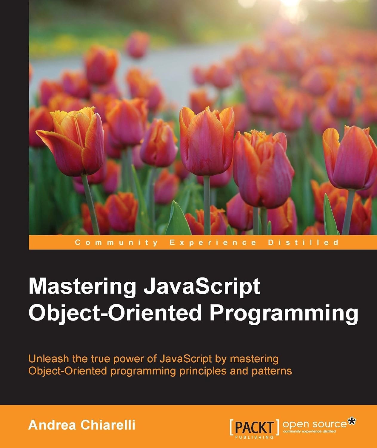 Mastering JavaScript Object-oriented Programming