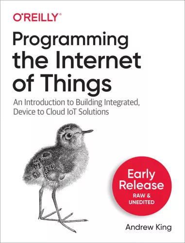 Programming the Internet of Things